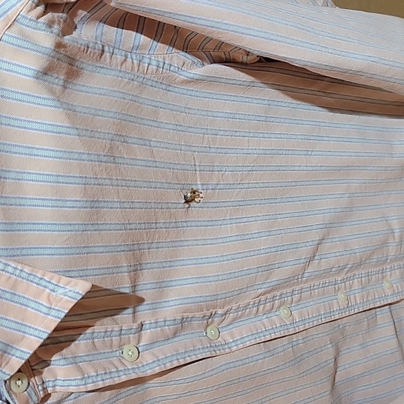 Button Down - Picture 3 of 3